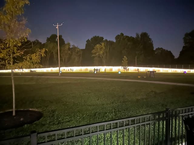 The Wall glowing in a long line of light across the dark field